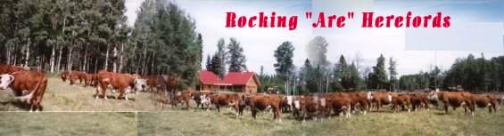 2003 New Ranch house and Hereford herd - Click for more info